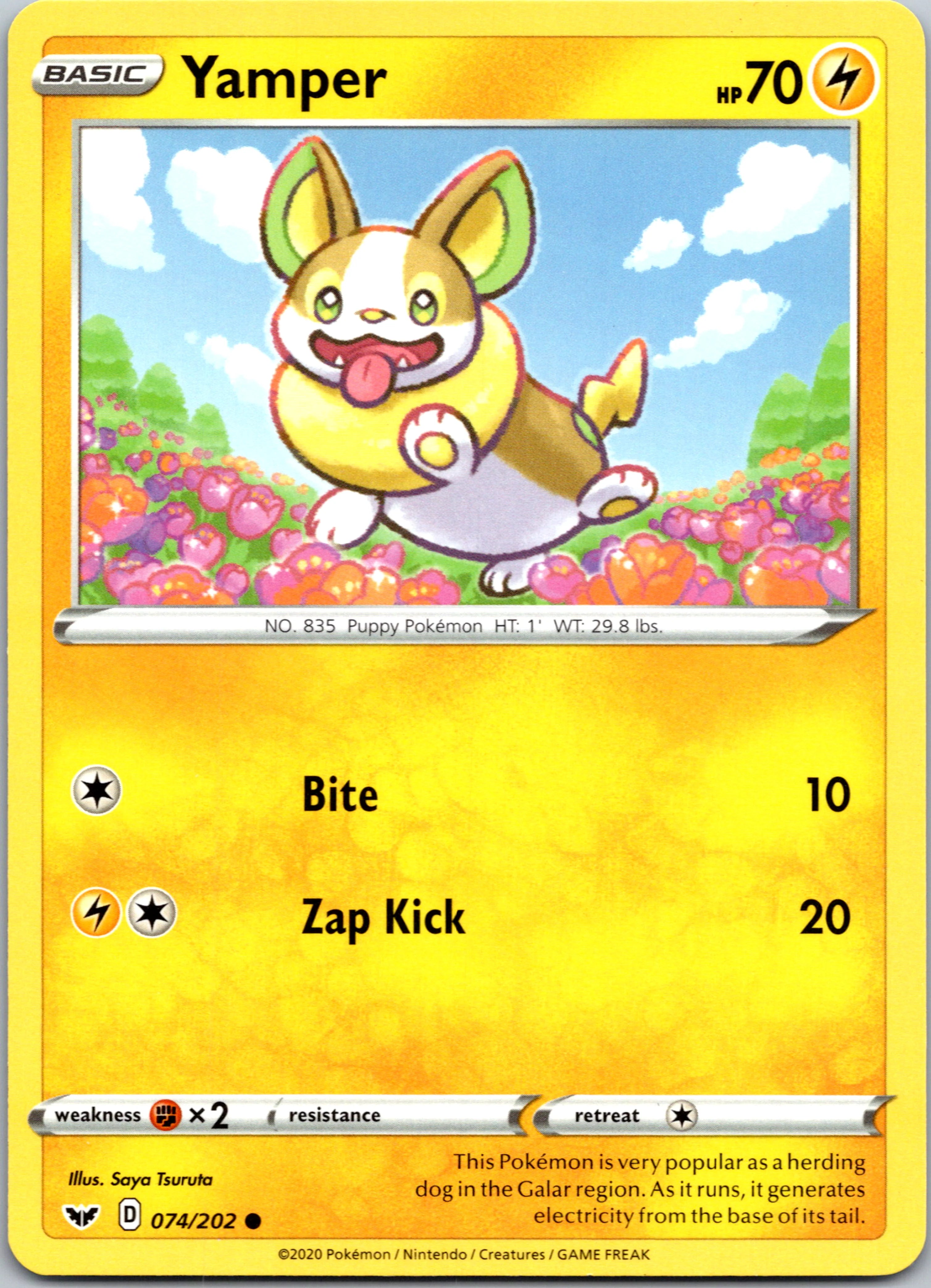 Yamper (074/202) (074/202) [SWSH01: Sword & Shield Base Set]