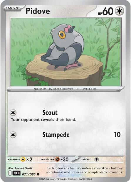 Pidove [071/086] [Black Bolt]