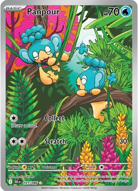 Panpour [101/086] [Black Bolt] Holofoil