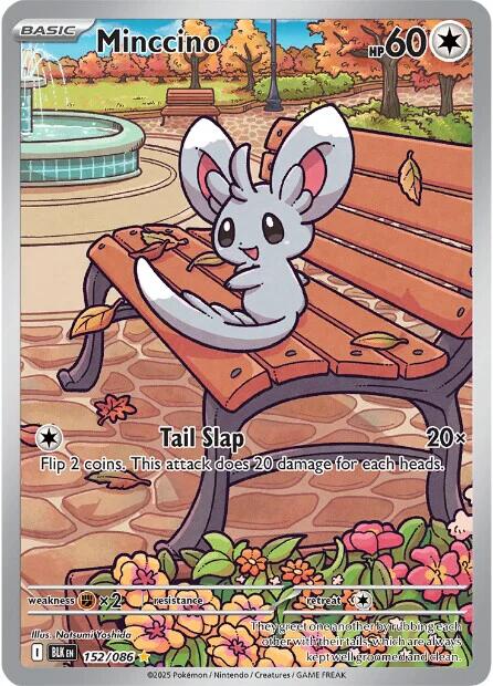 Minccino [152/086] [Black Bolt] Holofoil