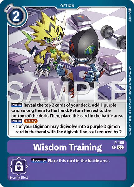 Wisdom Training (Reprint)