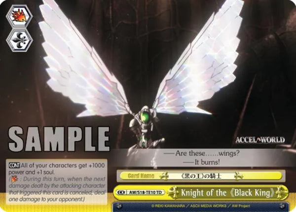 4d91944a-0b46-47fa-bea9-fb030e9bcfeb | ws-aw/s18-te10-td-nf-acceworl-tri-nm | Knight of the "Black King"