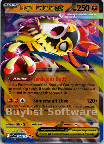 Mega Hawlucha ex