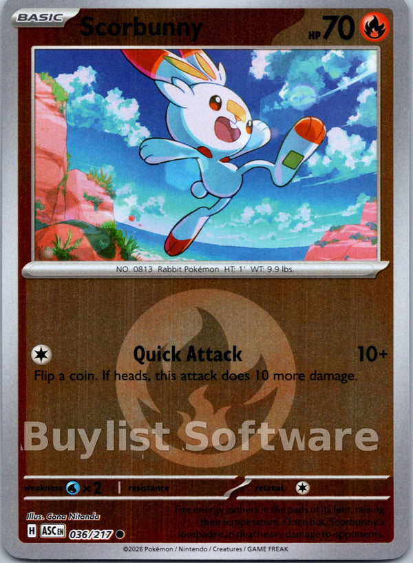 Scorbunny (Energy Symbol Pattern) [036/217] [Ascended Heroes] Reverse Holofoil