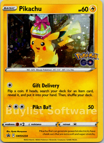 Pikachu [SWSH234] [Sword & Shield Promo Cards] Holofoil