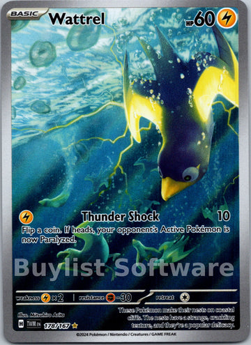 Wattrel [178/167] [Twilight Masquerade] Holofoil