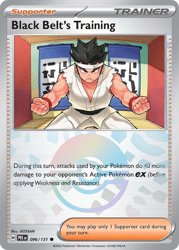 Black Belt's Training (Poke Ball Pattern)