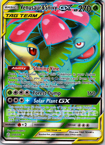 Venusaur & Snivy GX