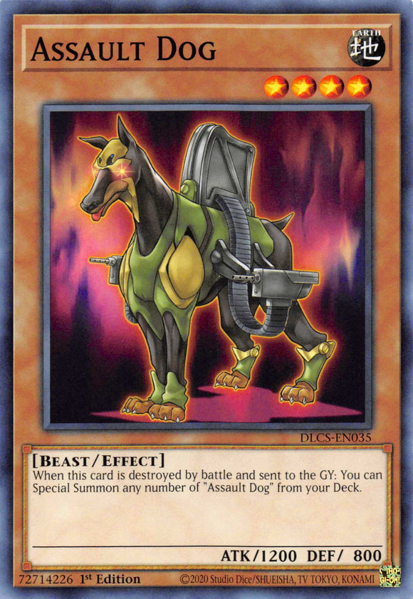 Assault Dog [DLCS-EN035] Common