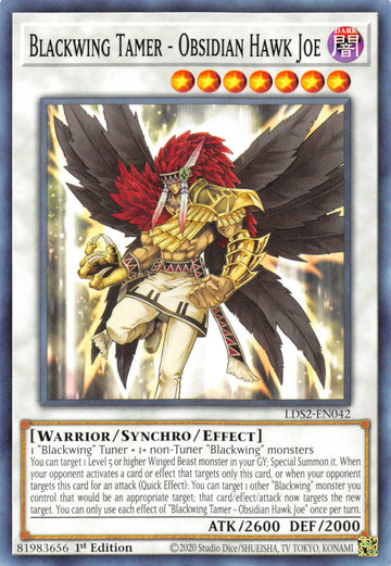 Blackwing Tamer - Obsidian Hawk Joe [LDS2-EN042] Common