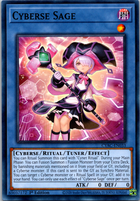 Cyberse Sage [CYAC-EN033] Common