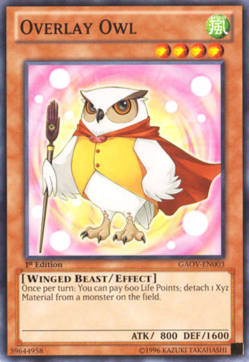 Overlay Owl [GAOV-EN003] Common - Duel Kingdom